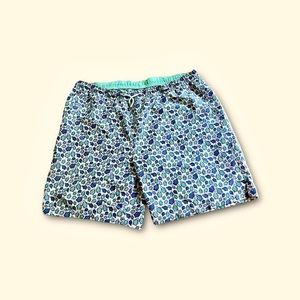 Peter Millar Turtle Swim Trunks Shorts  Men's XL  Seaside  Blue Pink EXCELLENT ✅
